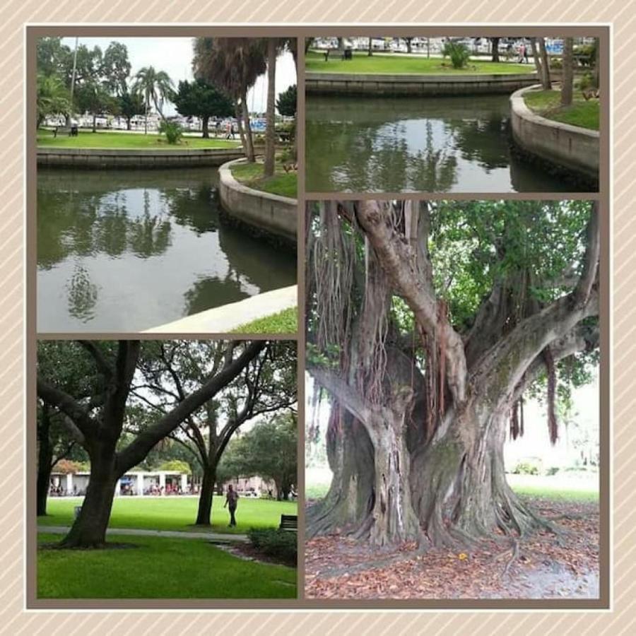 Walk To Everything Downtown Eat - Shop - Play St. Petersburg Luaran gambar